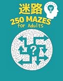 迷路: 250MAZES for Adults
