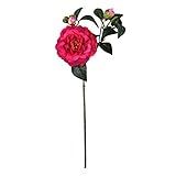 ツバキ FXFS0021RED