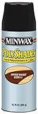 Minwax 31440 Antique Walnut Gloss Stain and Polyurethane 10.75-Ounce Spray [並行輸入品]