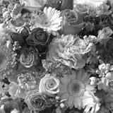 ＴＶチャンピオン出場【今旬フラワーアレンジメント5,500円 スタイリッシュ おまかせ】誕生日 花　誕生日 プレゼント 女性 フラワーアレンジメント 開業開店祝い 花 劇場 楽屋花 ギフト お見舞い 