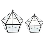 F Fityle 幾何学的　ガラス　テラリウム　多肉植物　テラリウム　コンテナ　装飾　贈り物　2個　