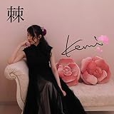 �����̉�(re-recording version) kemi