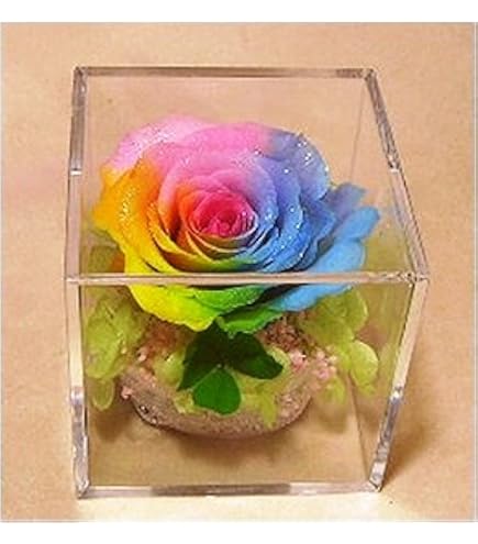 Amazon｜プリザーブドフラワー レインボー ガラスドーム 1個 花