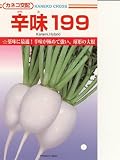 辛味199 カネコのダイコン種です