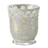 PASEO(パセオ) ガラスフラワーベース EM-05WH