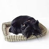 ニニアンドキノ パーフェクトペット (小サイズ) スコティッシュテリア ぬいぐるみ 犬 いぬ イヌ リアル 本物 そっくり 雑貨 動物 アニマル 癒し 動く プレゼント ギフト お祝い かわいい 犬のぬいぐるみ