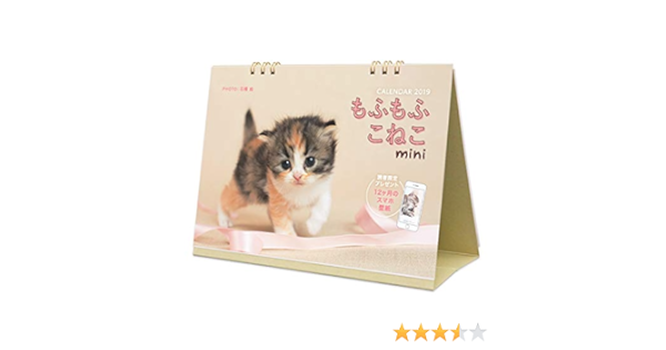 もふもふこねこ Mini インプレスカレンダー19 石橋絵 インプレスカレンダー編集部 本 通販 Amazon