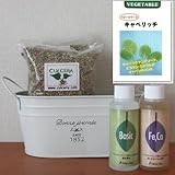 ベビーリーフ（キャベリッチ）の栽培セット/豊作セット（液体肥料付き）プランターホワイト仕様