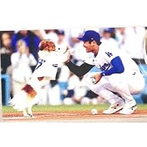 MLB ロサンゼルス・ドジャース 【 大谷翔平 デコピン 】フレーム-1dc Amazon.co.jp: 大谷翔平 & デコピン プレイヤースタンド