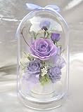 ドーム入りアレンジ萌新色ライラックのバラプリザーブドフラワー