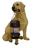 Tricod B5185A Yellow Labrador Dog With Lantern Solar Light [並行輸入品]