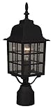 Craftmade Z275-05 Post Mount Light with Seeded Glass Shades, Black Finish [並行輸入品]