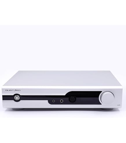 GUSTARD H16 バランスヘッドフォンアンプ Amazon.co.jp: GUSTARD H16 OLEDディスプレイ シングルエンド