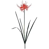 MAGIQ 東京堂 上質な 造花 曼珠沙華 RED FM008392