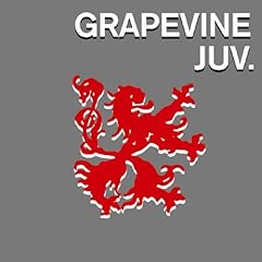 �� / GRAPEVINE