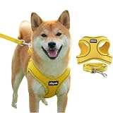 AIBPET 犬用ハーネス＆リードセット 超小型犬から全犬種対応 猫用ハーネス リード引っ張り防止設計 調節可能サイズ夜間反射機能 着脱簡単耐久性・通気性・柔らかメッシュ素材採用(yellow, XS)