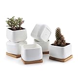 T4U 9.7CM 陶器鉢 白 スクエア NO.2 植木鉢 多肉植物 サボテン鉢 竹トレイ付き 6個入り