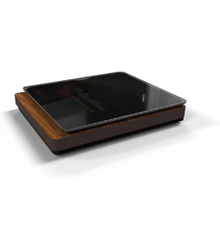 Amazon.co.jp: 《ロゴ入りクロスプレゼント》 FIIO ポータブル CD