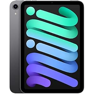 2021 Apple iPad mini (Wi-Fi, 256GB) - スペースグレイ