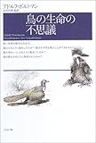 鳥の生命の不思議