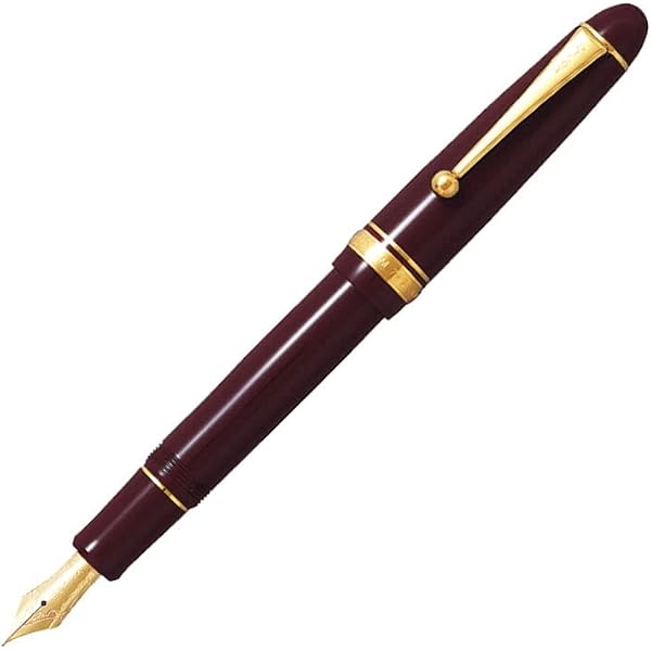 Amazon | PILOT万年筆 カスタム742 ペン種：14K 10号 F／軸色 