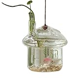 SODIAL(R) ヨーロッパのクリエイティブハンギング花瓶　ガラス花瓶　水耕ホームファッションジュエリーの装飾品-キノコの家の形