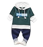 CXYP　キッズ服　春秋　男の子　上下セット　コットン　子供服　カジュアル　幼児　長袖　80cm～110cm (110cm, グリーン)