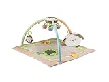 Fisher-Price My Little Snugabunny Ultra Comfort Musical Gym (Discontinued by Manufacturer) [並行輸入品]