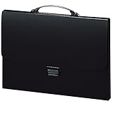 リヒトラブ ポートフォリオ ナスカ フレックス F911 B4