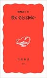 豊かさとは何か (岩波新書)