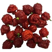 Amazon.co.jp: 植物種子 世界一番辛い悪魔唐辛子(ブートジョロキア) 種