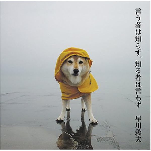ジャックスCDBOX／ひまわりの花の 早川義夫 ジャックスCDBOX