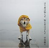 言う者は知らず、知る者は言わず(早川義夫ライブ)