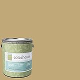 Inspired Eggshell Interior Paint, Stone .02, Gallon [並行輸入品]