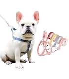 【かわいい愛犬にぴったり！】 PetGround 犬 ハーネス リード付き かわいい おしゃれ ハーネスリードセット 軽量 首輪 胴輪 散歩 ペット用品 小型犬 中型犬 猫 (M, イエロー)