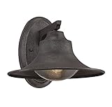 Savoy House Trent 12" Outdoor Lantern in Artisan Rust 5-5071-1-32 [並行輸入品]