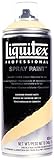 Liquitex Professional Spray Paint 12-oz, Cadmium Orange Hue 6 [並行輸入品]