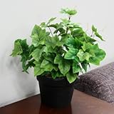人工観葉植物 グレープリーブス 緑斑 45cm