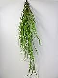 UrbanStyle(アーバンスタイル) 人工観葉植物 ホヤ リネアリス フェイクグリーン 造花 インテリアグリーン ハンギング 壁掛け　 (グリーン)