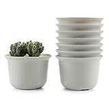 T4U 15CM プラスチック植木鉢 ラウンド 多肉植物 サボテン鉢 フラワーポット プランター容器 白 8個入り