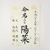 [萌舟] 毛筆代書付き命名書 A４サイズ 和風水玉