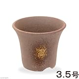 吹ソリ型山草鉢 3.5号 山野草 植木鉢 ミニミニ盆栽鉢