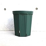 ITANSE スリット鉢 8号ロングサイズ 1個売り 用途で選べる鉢・用品 側面にまで大きいスリットが入っているので 空気に触れることを嫌う根が用土の中でバランス良く育ちます