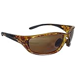 Radians AL3-45 Evolution Altitude Tortoise Shell Frame Glass with Coffee Lens [並行輸入品]