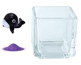 花市場直送便 ミニチュアガラス クジラ ブラック & カラーサンド パープル & 植え込み用グラス ニューブロックS