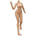[AC」ACFUN-JP＆海牛工業 コラボ版 1/12 セクシー 美人 女性 二次元 アクション フィギュア ラージバスト 素体 ボディー セット 白肌