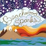 �r�[�`�E�b�h�E�X�p�[�N�X