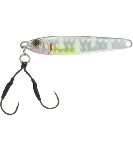 Amazon.co.jp: ガンクラフト(Gan Craft) コソジグ マイクロ COSO 10g