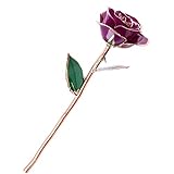 JTTVO プレゼント 女性 24K金箔のバラ ローズ 花 永遠なラブ ロングのステムの盛りローズ バレンタインデー、レディース プレゼント結婚祝い、 誕生日 女性 結婚記念日、卒業、母親、恩師に