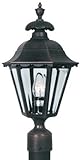 Special Lite Products Chesapeake F-2730-BLK/BV Medium Post Mount Light, Black [並行輸入品]